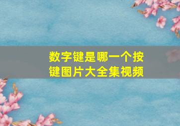 数字键是哪一个按键图片大全集视频