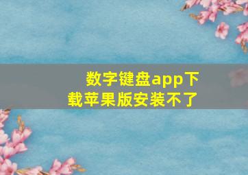 数字键盘app下载苹果版安装不了