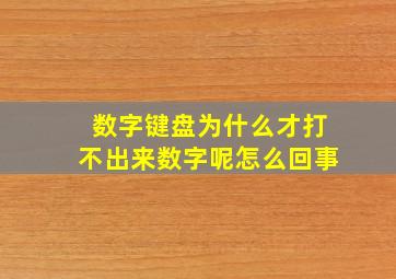 数字键盘为什么才打不出来数字呢怎么回事