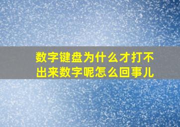 数字键盘为什么才打不出来数字呢怎么回事儿