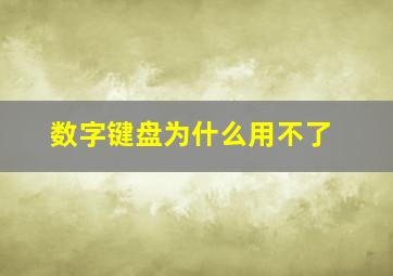 数字键盘为什么用不了