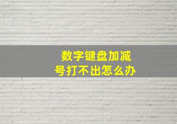 数字键盘加减号打不出怎么办