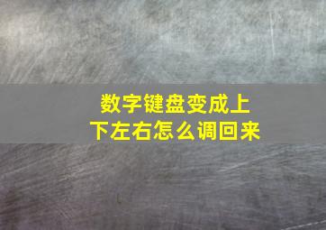 数字键盘变成上下左右怎么调回来