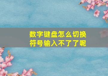 数字键盘怎么切换符号输入不了了呢