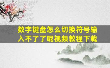 数字键盘怎么切换符号输入不了了呢视频教程下载