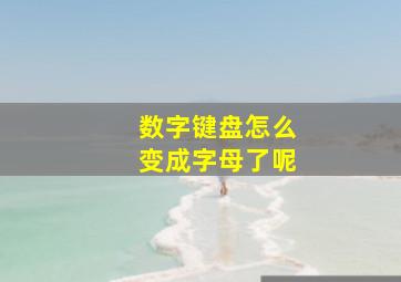 数字键盘怎么变成字母了呢