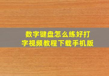 数字键盘怎么练好打字视频教程下载手机版