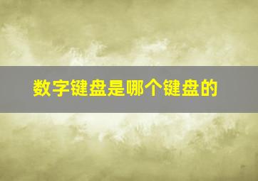 数字键盘是哪个键盘的