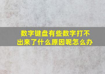 数字键盘有些数字打不出来了什么原因呢怎么办