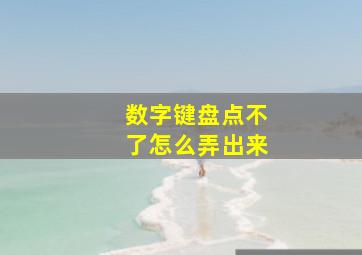 数字键盘点不了怎么弄出来