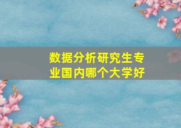 数据分析研究生专业国内哪个大学好