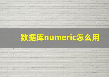 数据库numeric怎么用