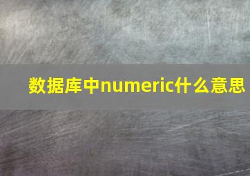 数据库中numeric什么意思