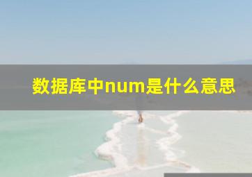 数据库中num是什么意思