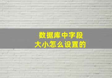 数据库中字段大小怎么设置的