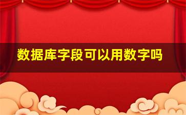 数据库字段可以用数字吗