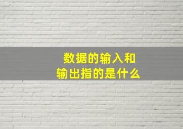 数据的输入和输出指的是什么