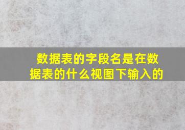 数据表的字段名是在数据表的什么视图下输入的