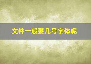 文件一般要几号字体呢