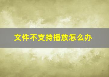 文件不支持播放怎么办