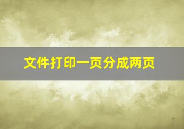 文件打印一页分成两页