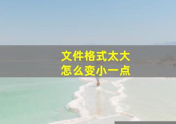 文件格式太大怎么变小一点