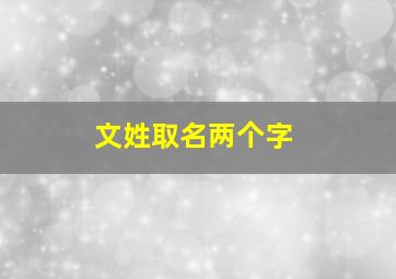 文姓取名两个字