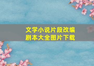 文学小说片段改编剧本大全图片下载