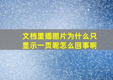 文档里插图片为什么只显示一页呢怎么回事啊