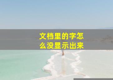 文档里的字怎么没显示出来