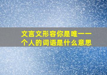 文言文形容你是唯一一个人的词语是什么意思