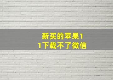 新买的苹果11下载不了微信