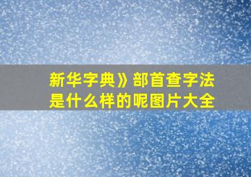 新华字典》部首查字法是什么样的呢图片大全