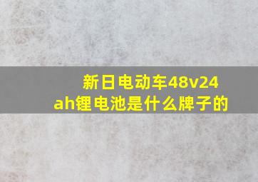 新日电动车48v24ah锂电池是什么牌子的