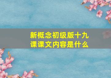 新概念初级版十九课课文内容是什么