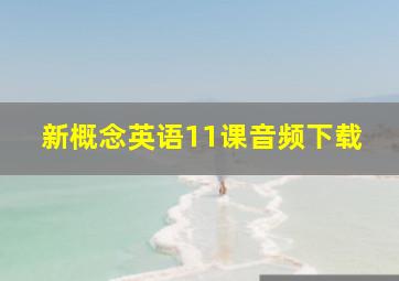 新概念英语11课音频下载