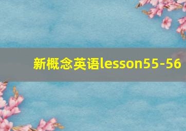 新概念英语lesson55-56