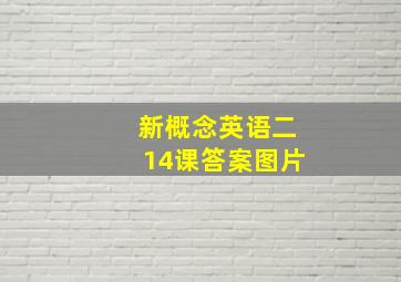 新概念英语二14课答案图片