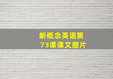 新概念英语第73课课文图片