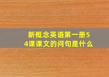 新概念英语第一册54课课文的问句是什么