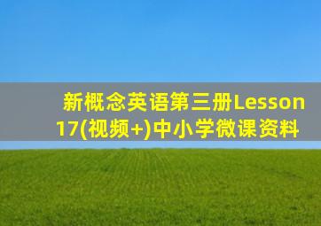 新概念英语第三册Lesson17(视频+)中小学微课资料