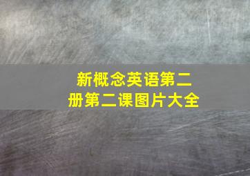 新概念英语第二册第二课图片大全