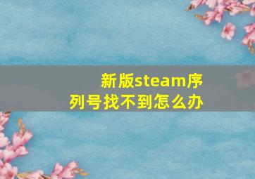 新版steam序列号找不到怎么办