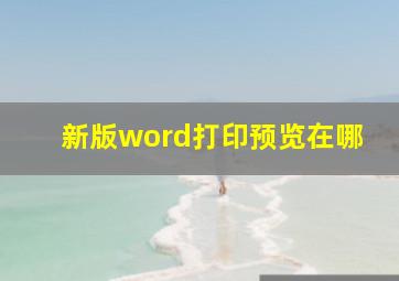 新版word打印预览在哪