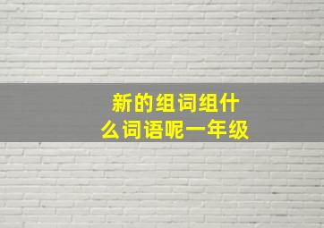 新的组词组什么词语呢一年级