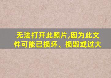 无法打开此照片,因为此文件可能已损坏、损毁或过大