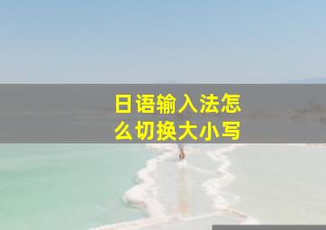 日语输入法怎么切换大小写