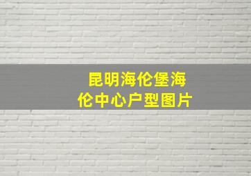 昆明海伦堡海伦中心户型图片