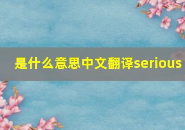 是什么意思中文翻译serious