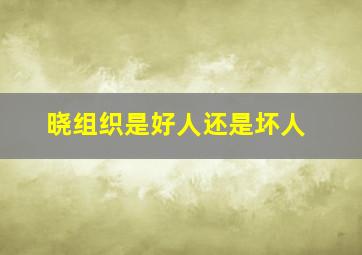 晓组织是好人还是坏人